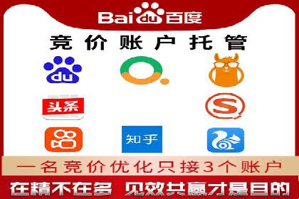 某电商平台的SEM推广实践与效果展示