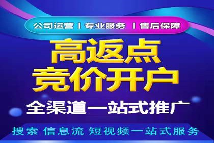 竞价推广策略：某电商平台的成功之路